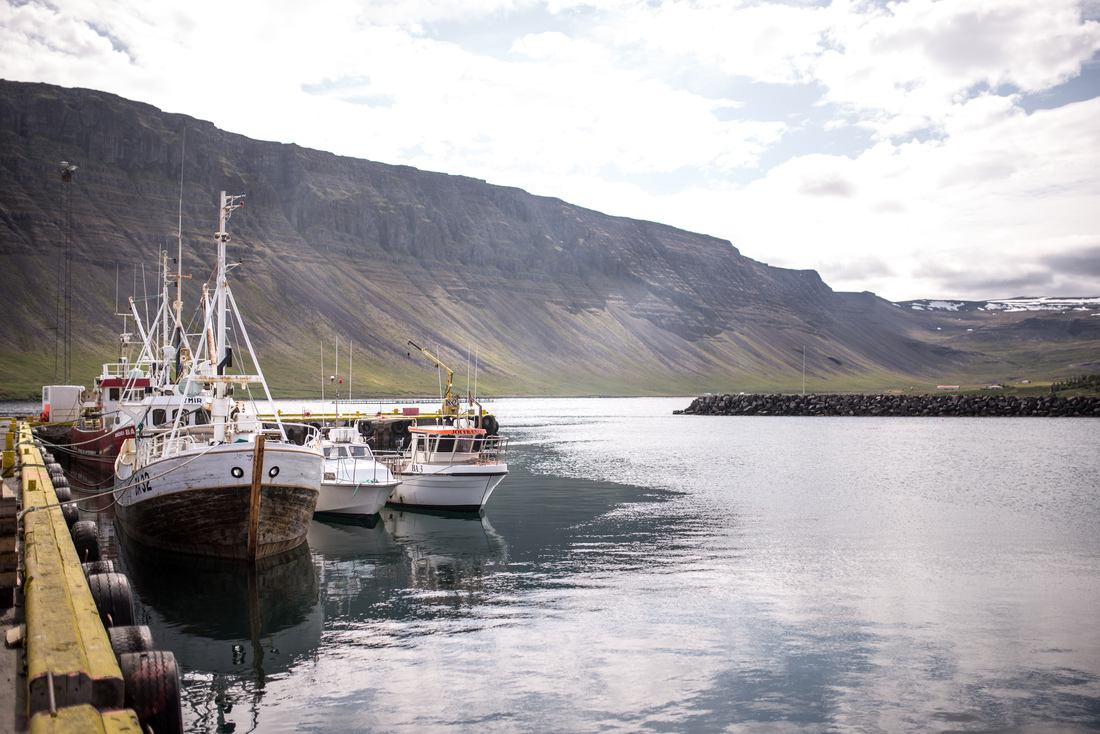 Port de pêche islandais 