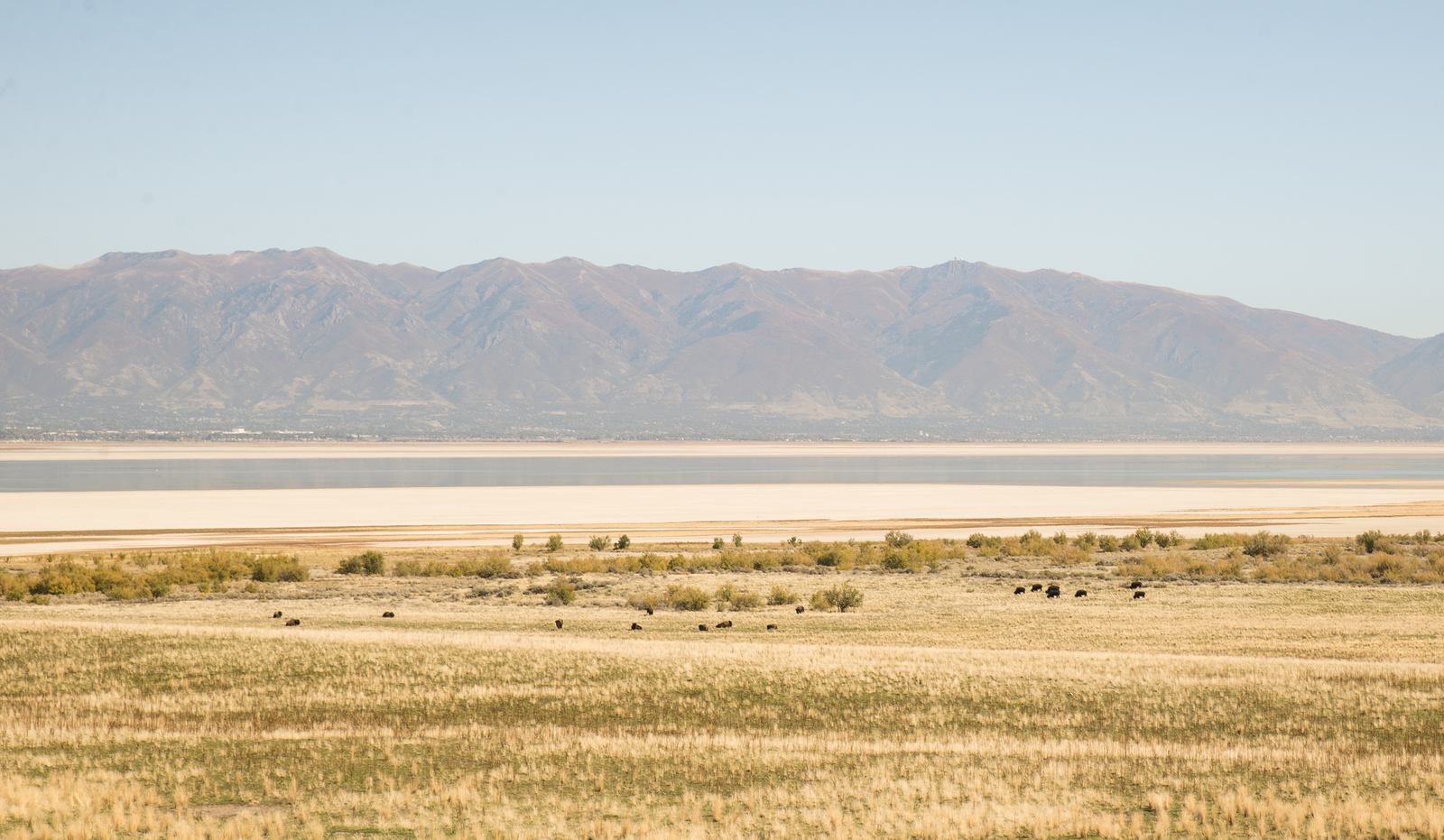 Prairie Antelope Island