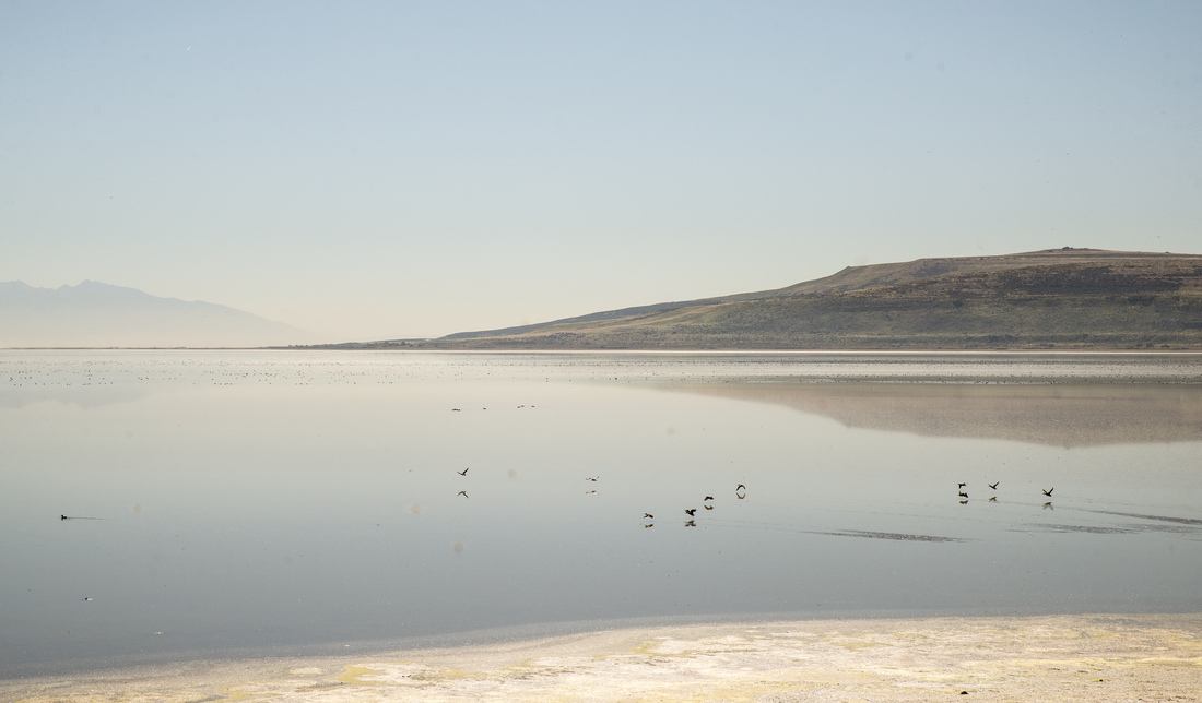 Eaux placides du lac salé 