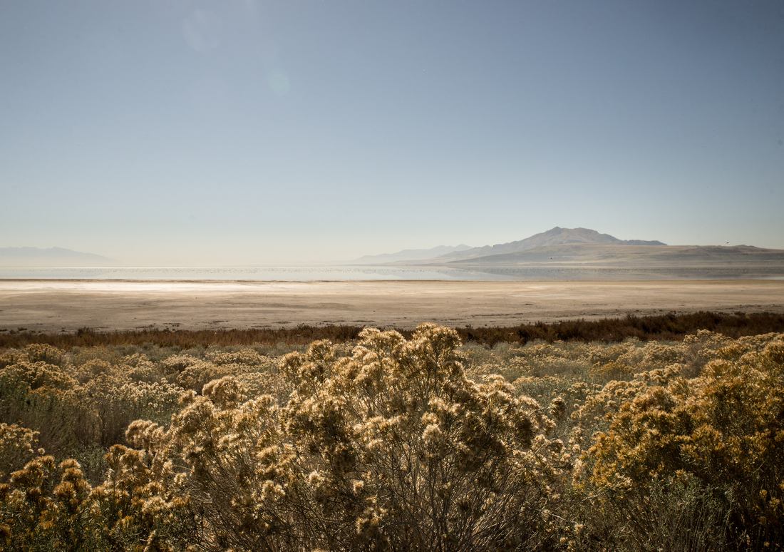 Paysage typique de Antelope Island