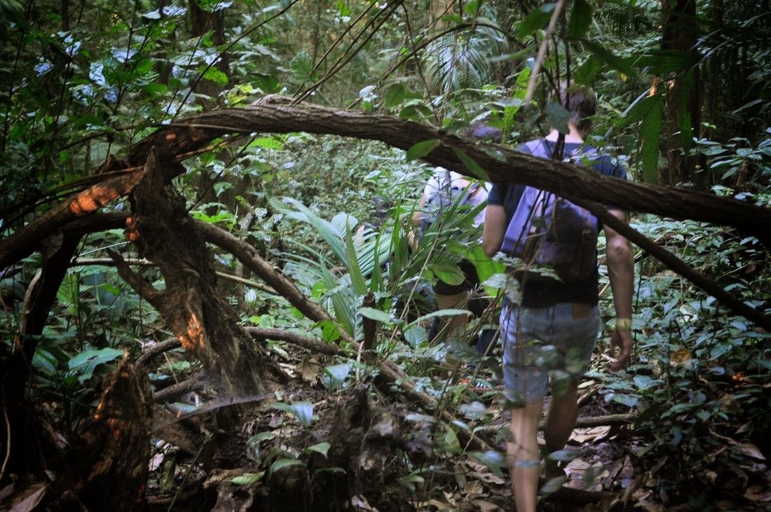 Marche dans la jungle du Chiapas