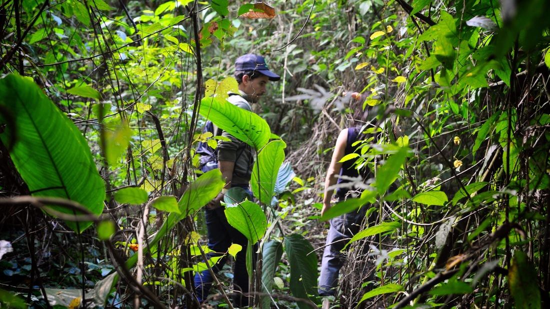 Guide dans le Chiapas