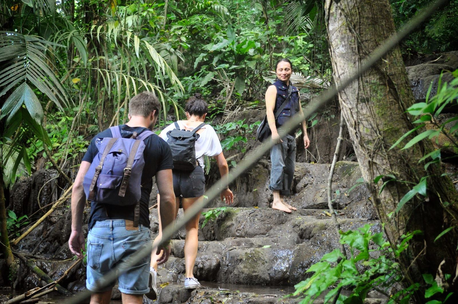 Guide dans la jungle