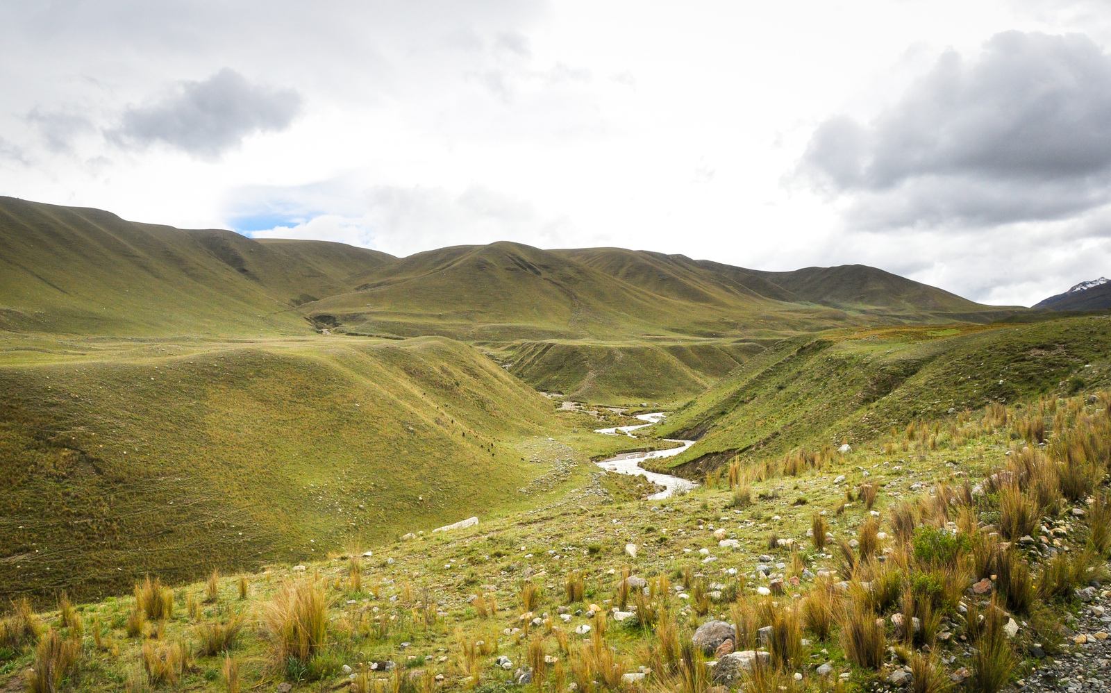 Cours d'eau dans les montagnes