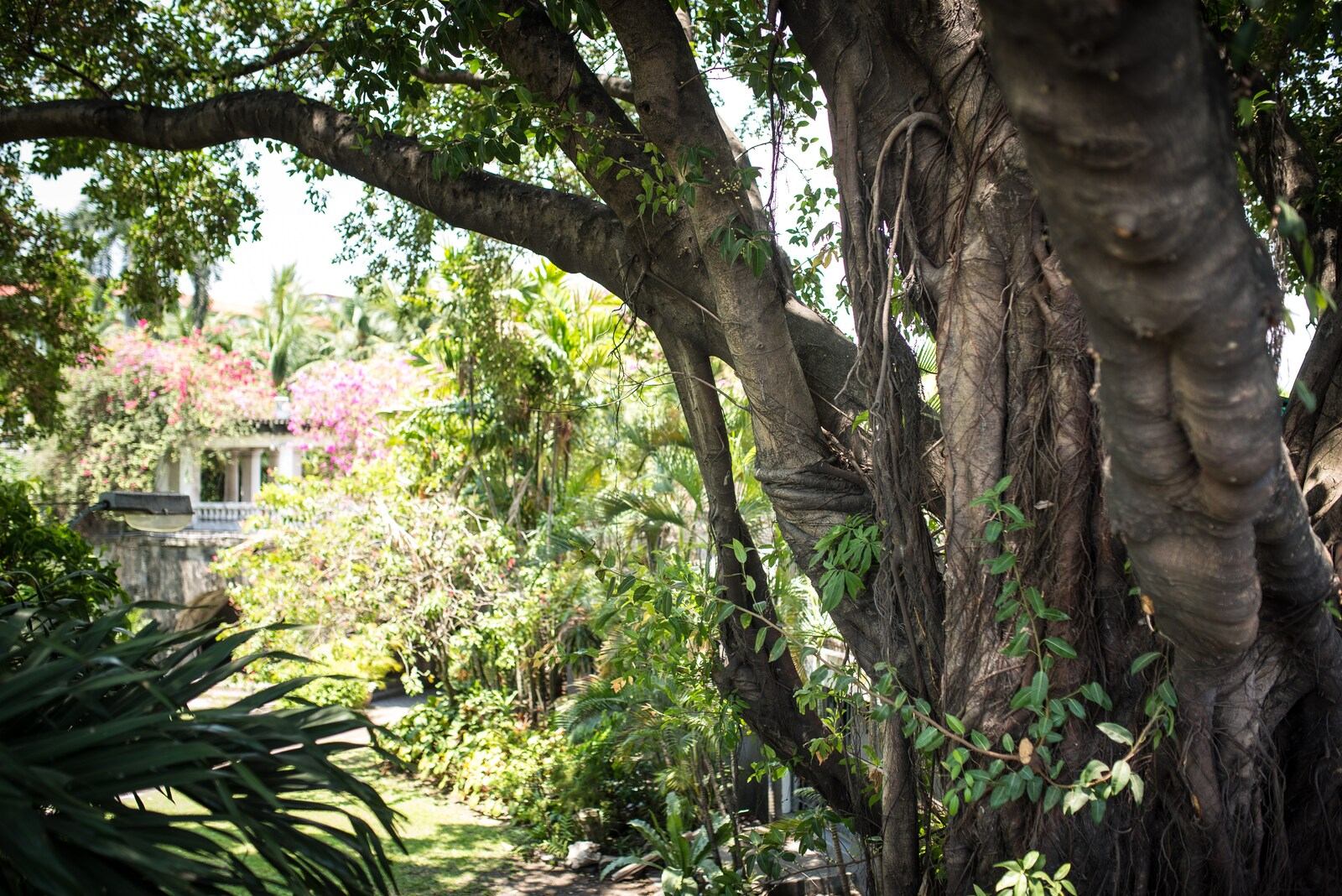 Dans les jardins d'Intramuros