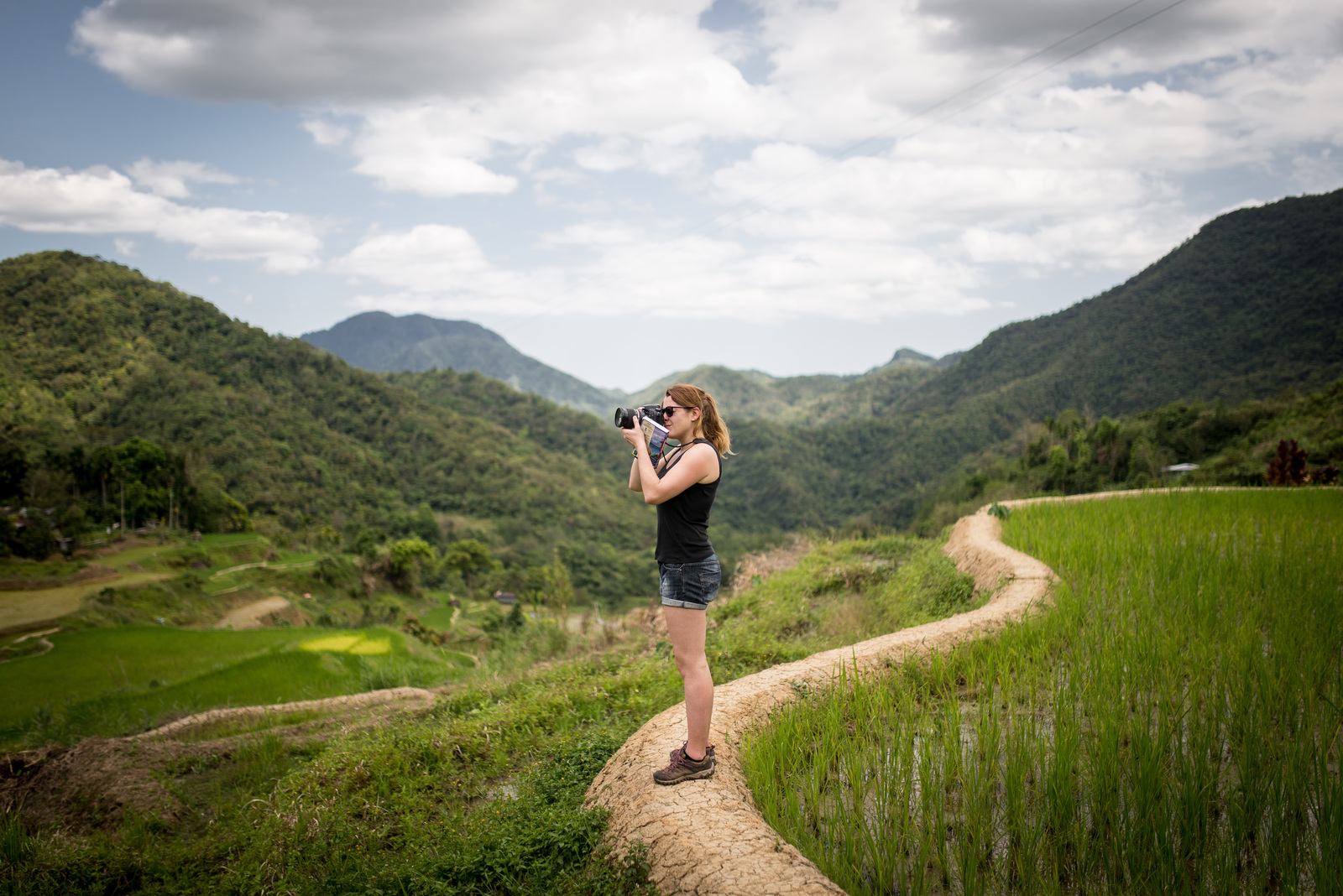 Manue dans les rizières
