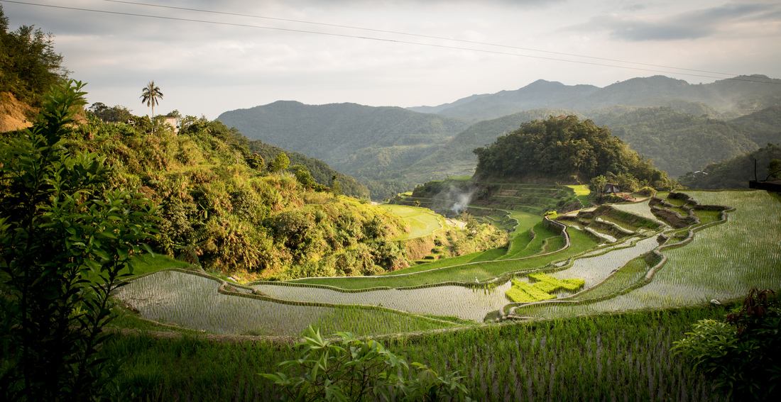 Balade au coeur des rizières 