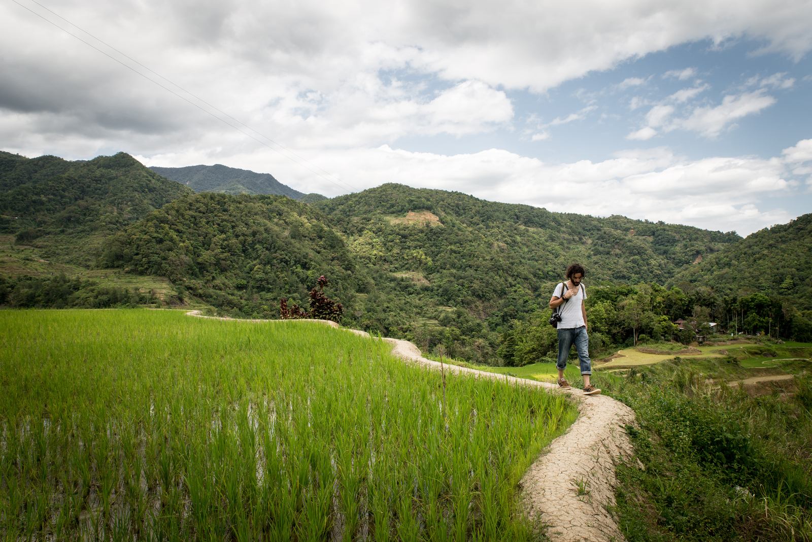 En balade dans les rizières