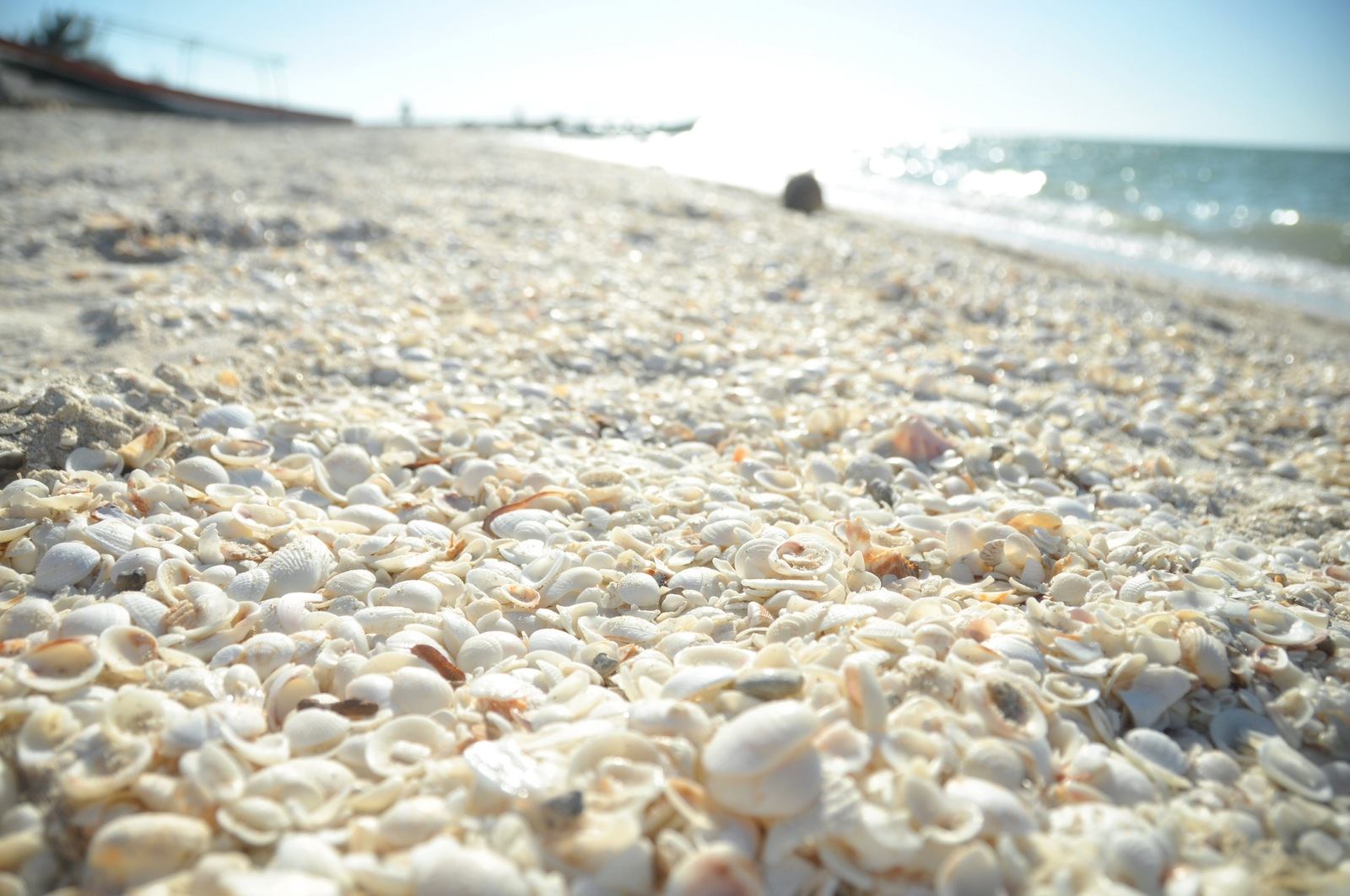 Plage de Celestun, Merida