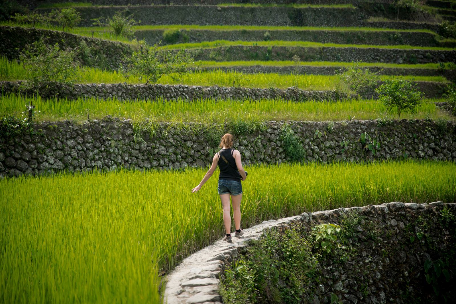 Manue se balade dans les rizières