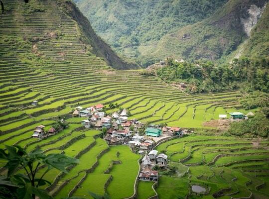 Nord des Philippines : les rizières en terrasse de Batad