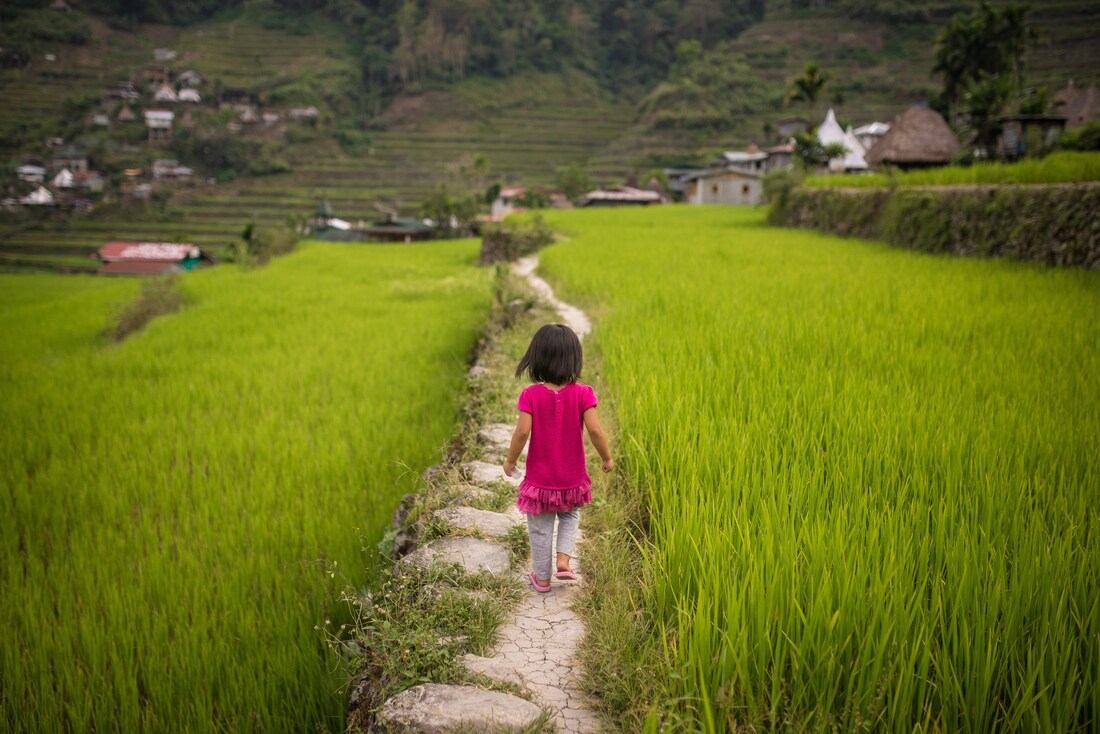 Petite philippine dans les rizières 