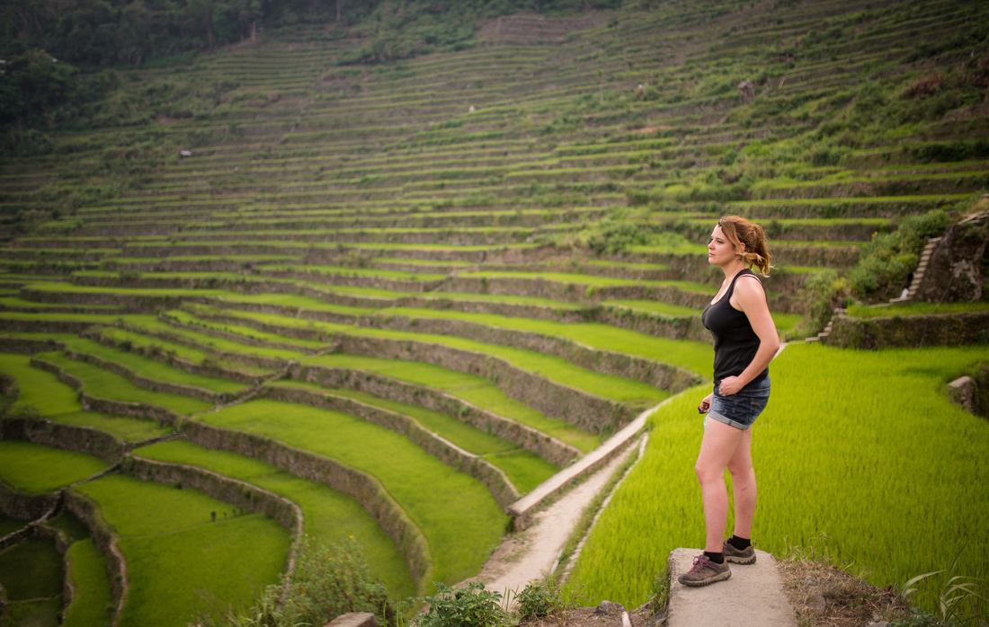 Au milieu des rizières 