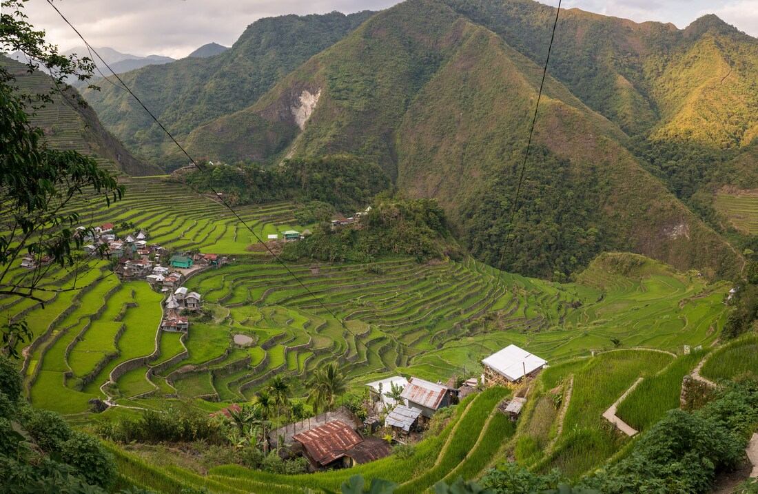 Vue depuis le haut des rizières 