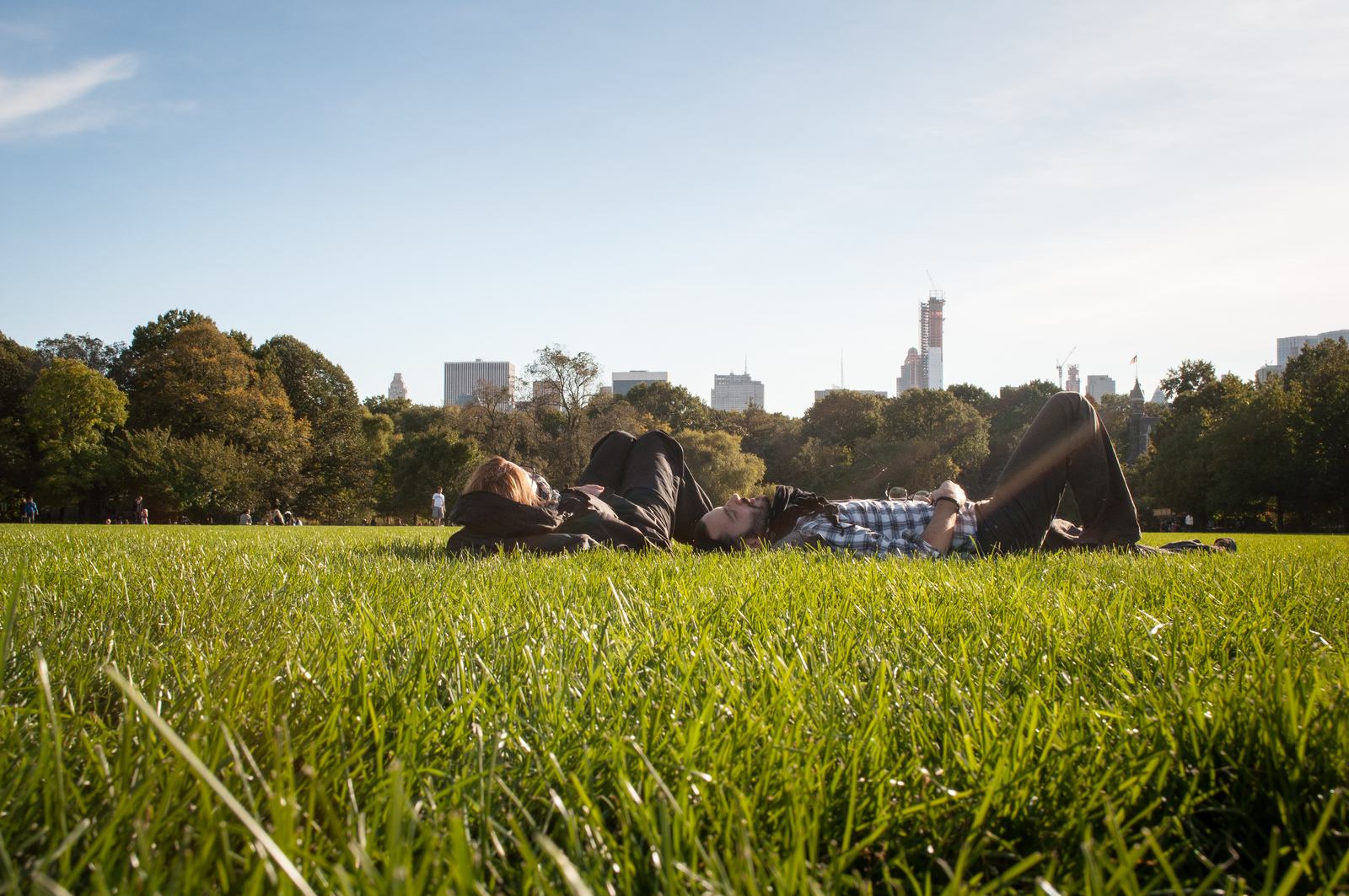 Vue de New York depuis Central Park