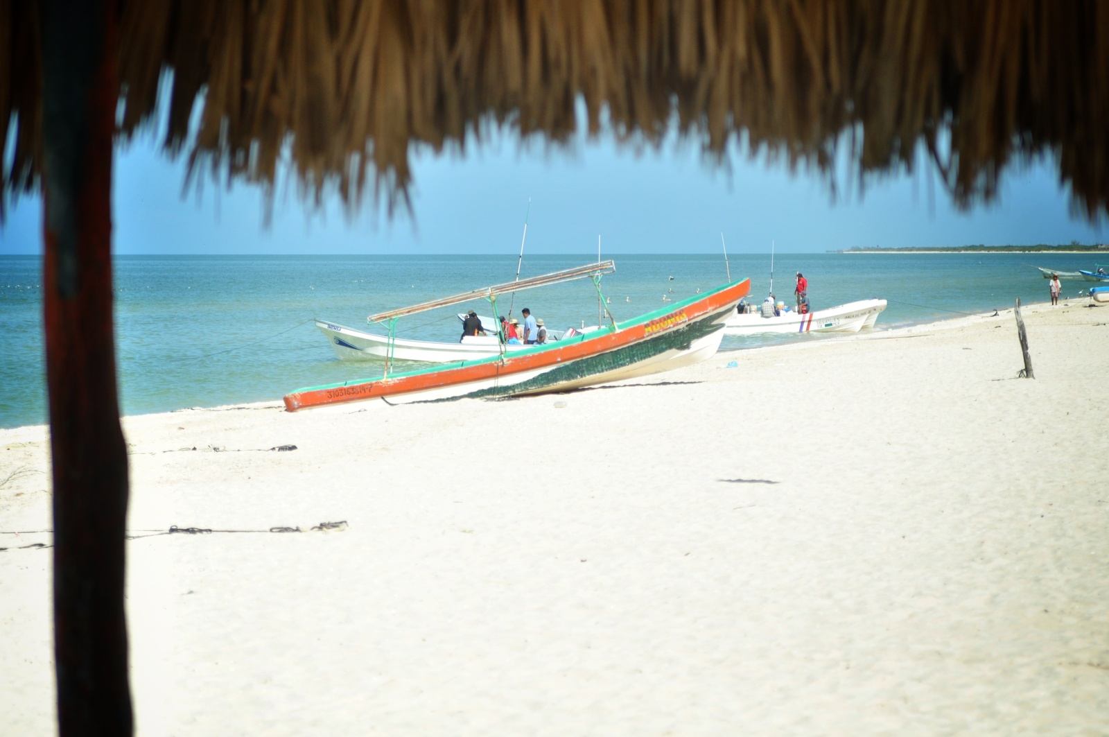 Plage de Celestun, Yucatan Plage de Celestun, Yucatan