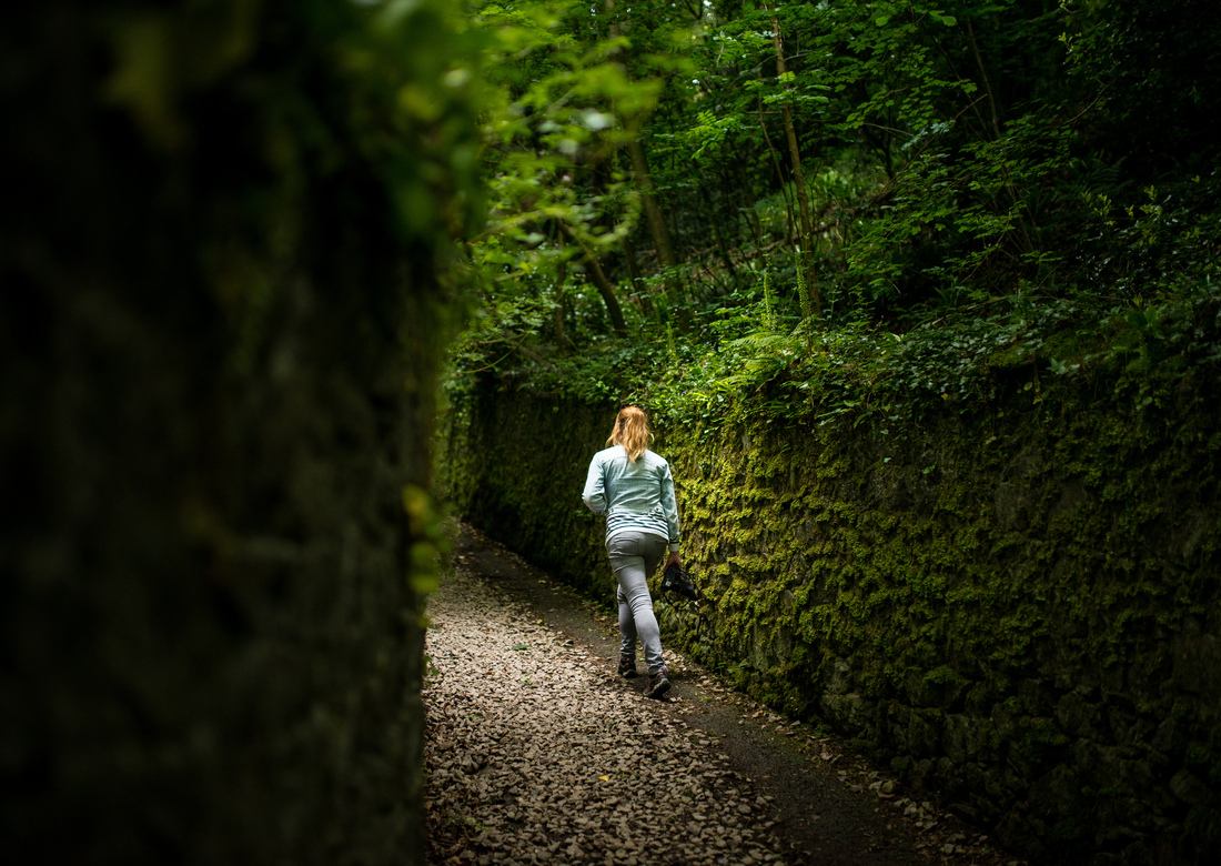 Entre ombre et lumière, nord de Jersey