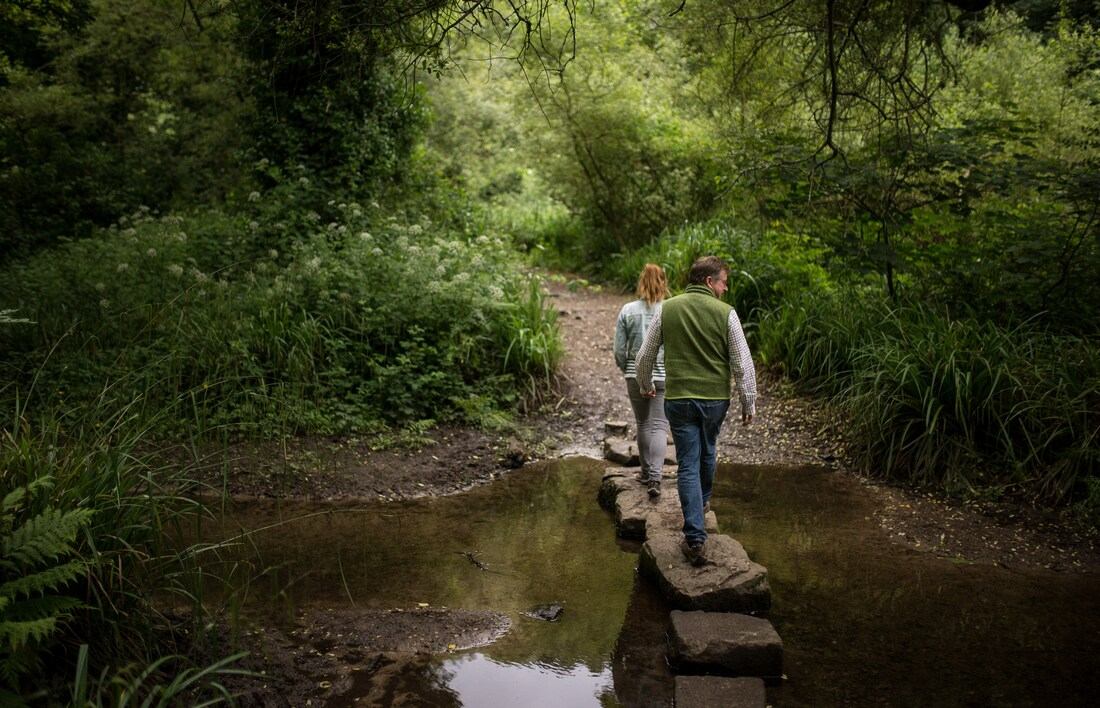 Dans la jolie forêt de Jersey