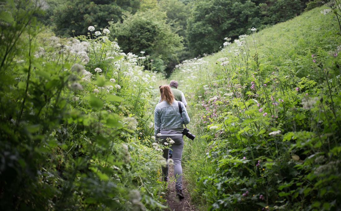 Se promener avec Dominic