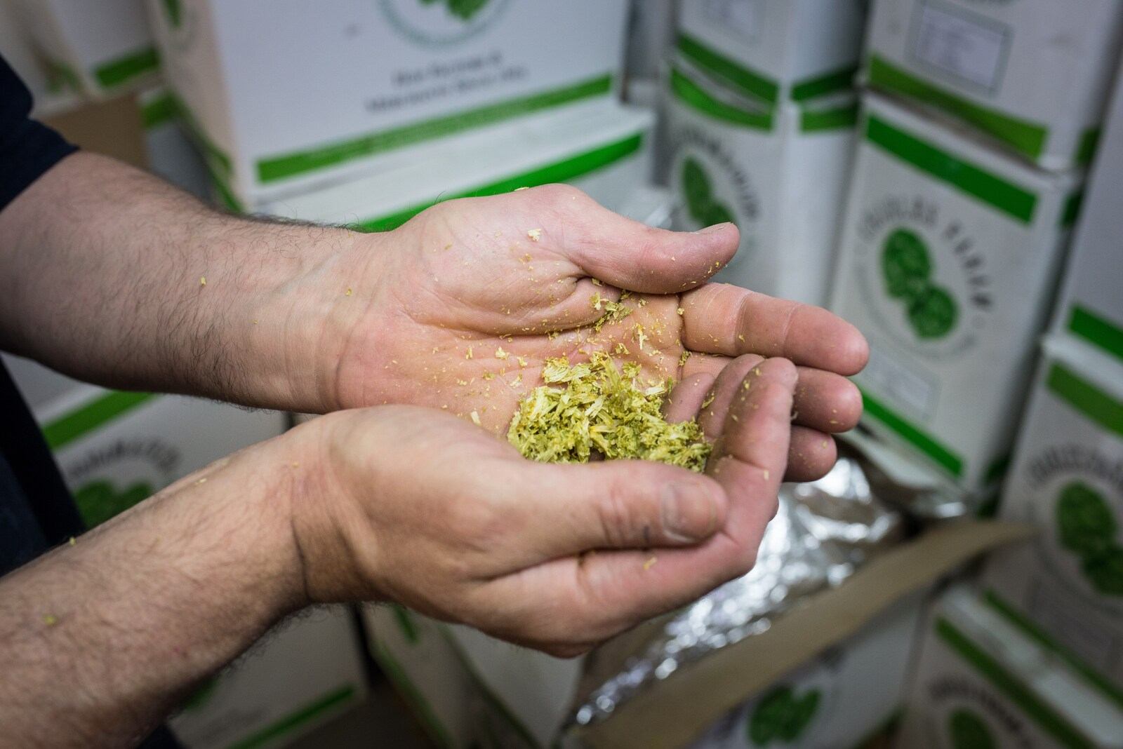 Sentir le houblon Sentir le houblon