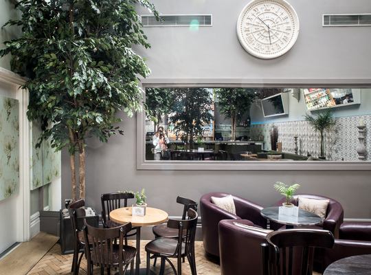 Décoration du café du Banjo