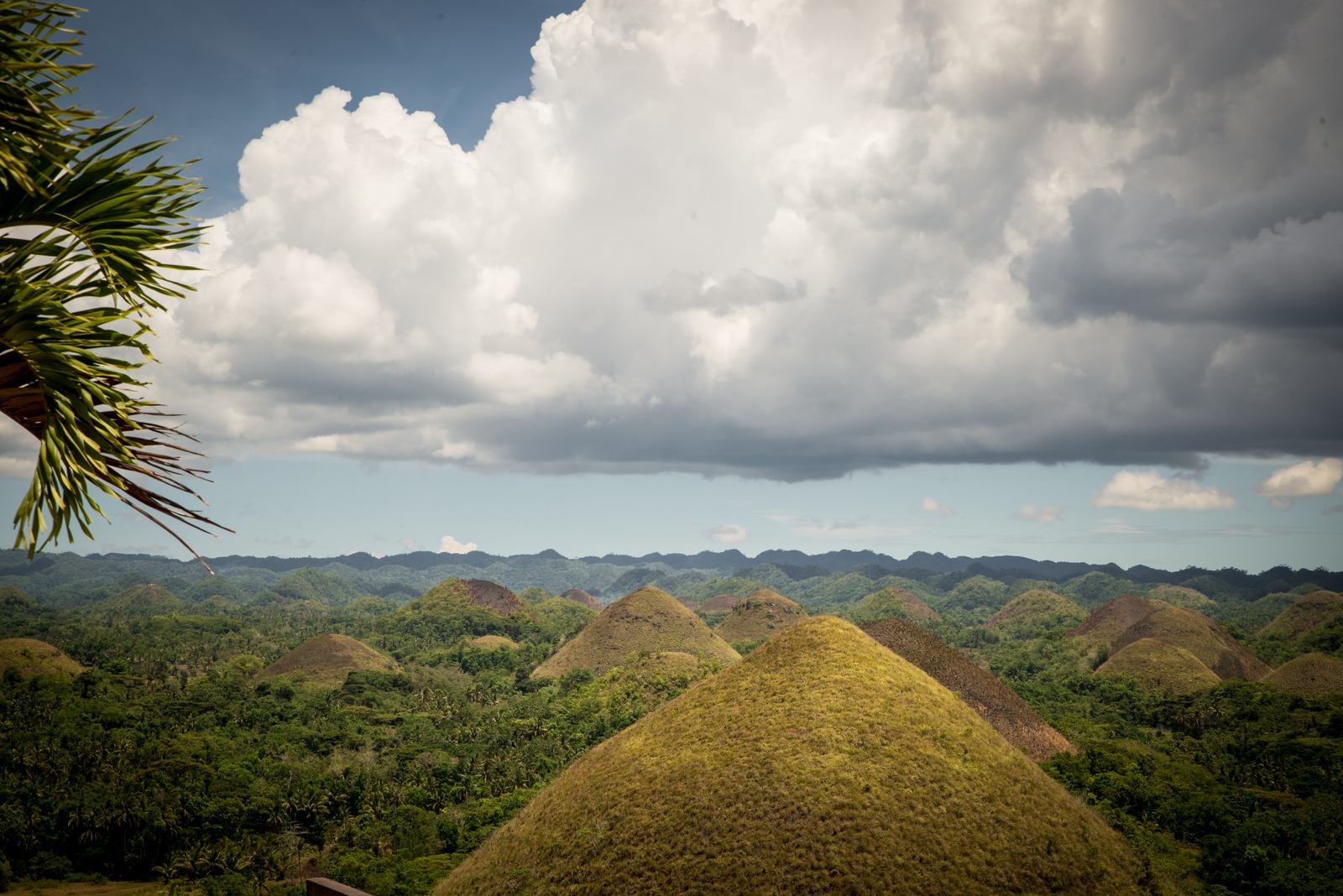 Paysage de Chocolate Hills Paysage de Chocolate Hills