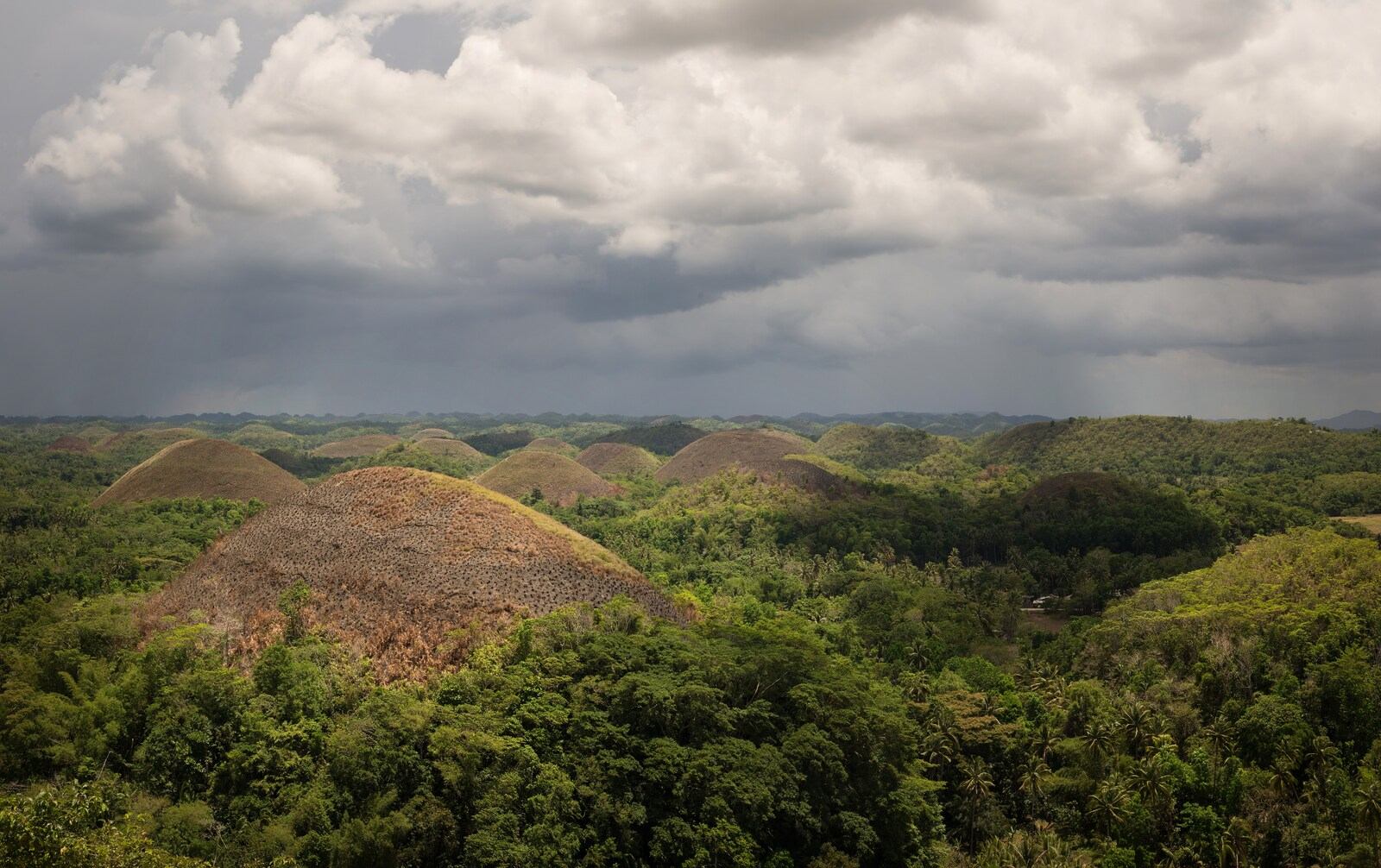 Collines de Chocolate Hills