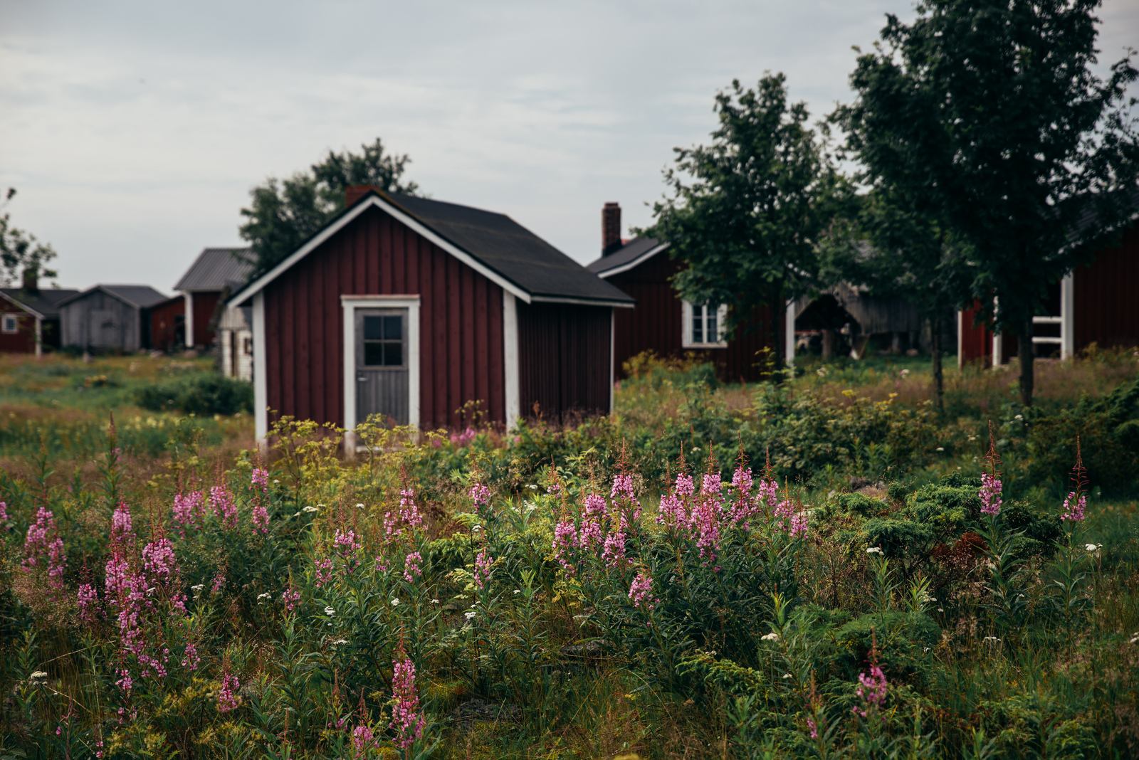 Sur l'île de Maakalla 