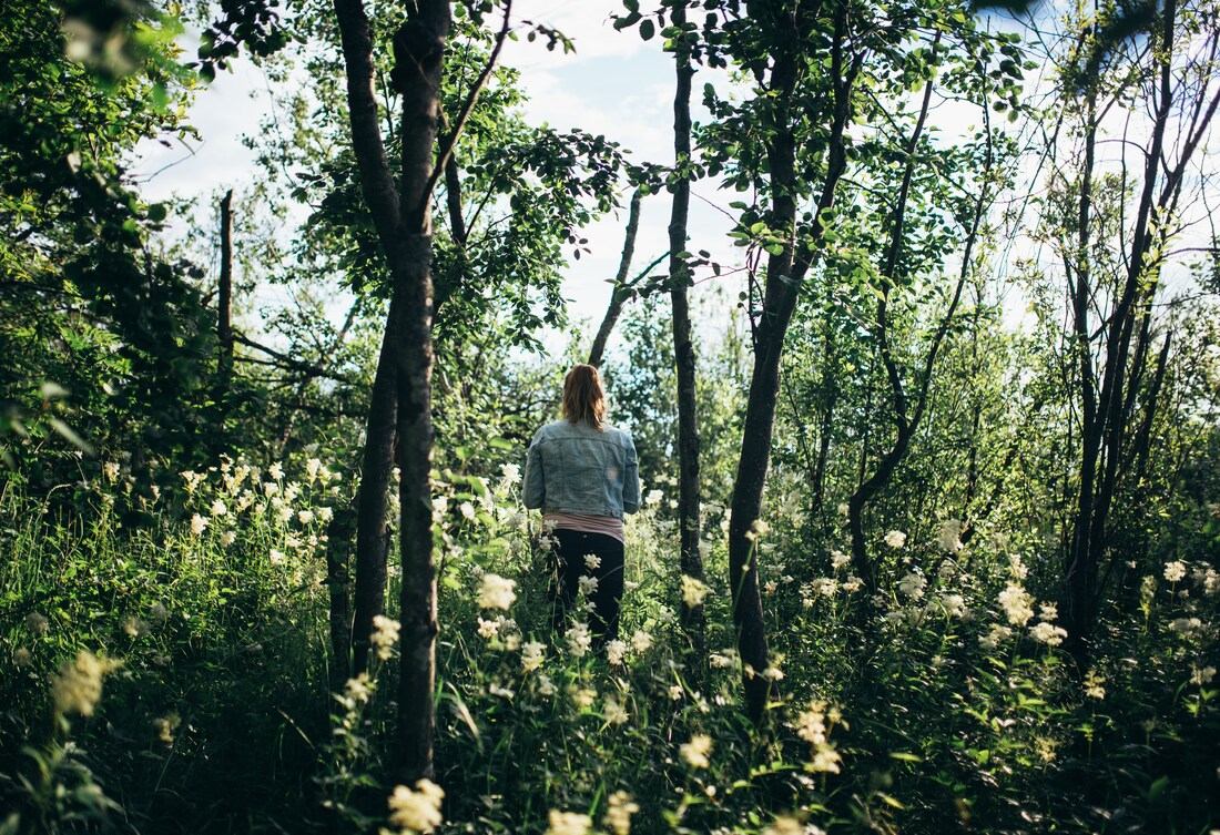 Se balader sur Iso-Kraaseli 