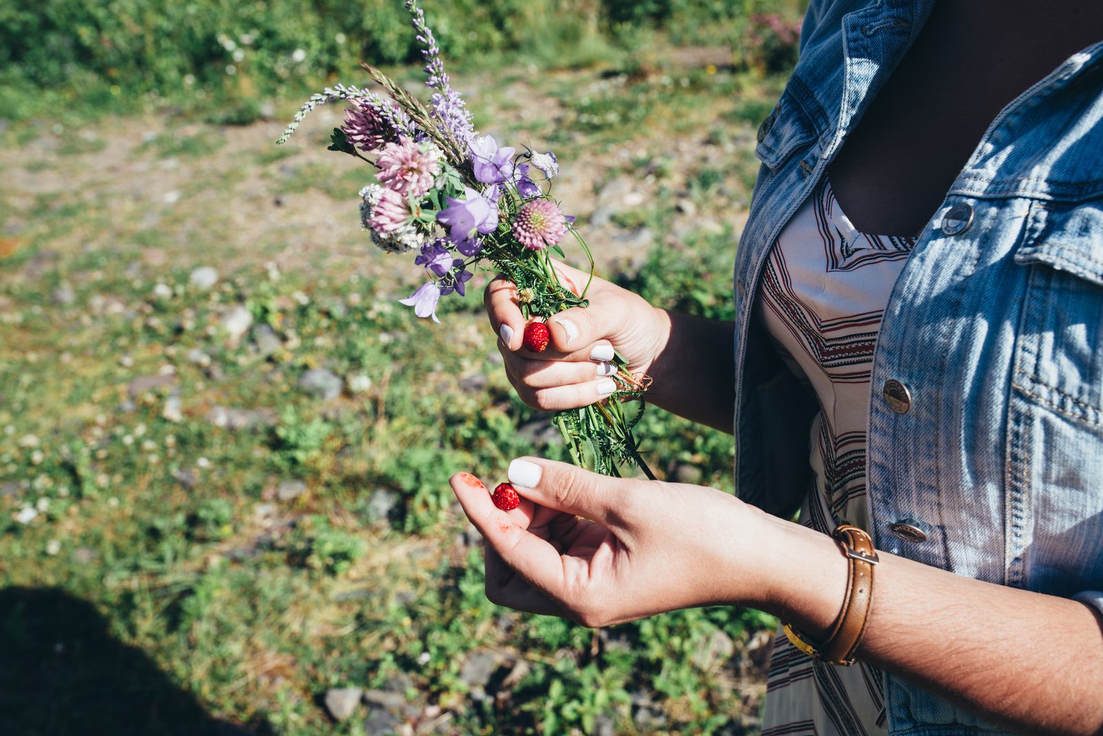 Déguster des petites fraises des bois 