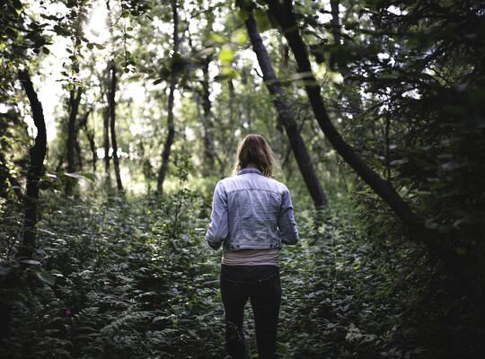 Récit d'une nuit passée sur une île déserte en Finlande  