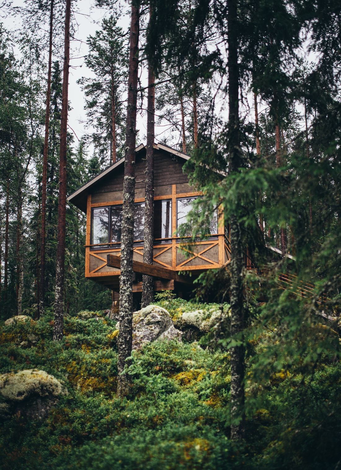 Passer une nuit dans les bois