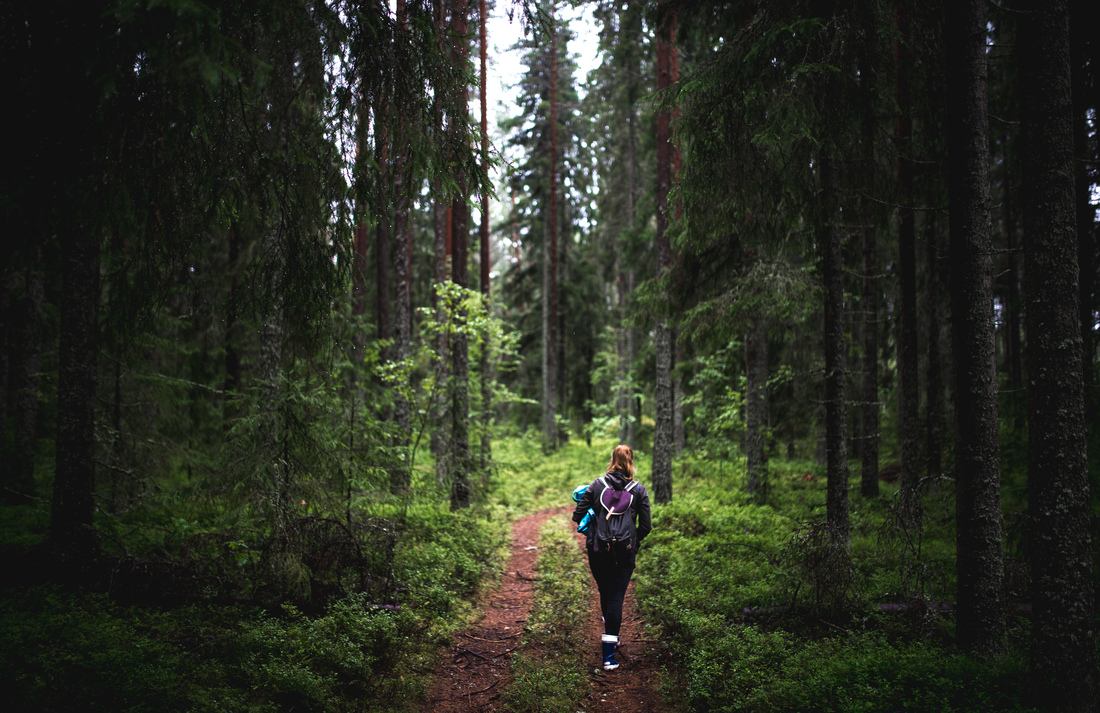 Chemin vers notre cabane en bois