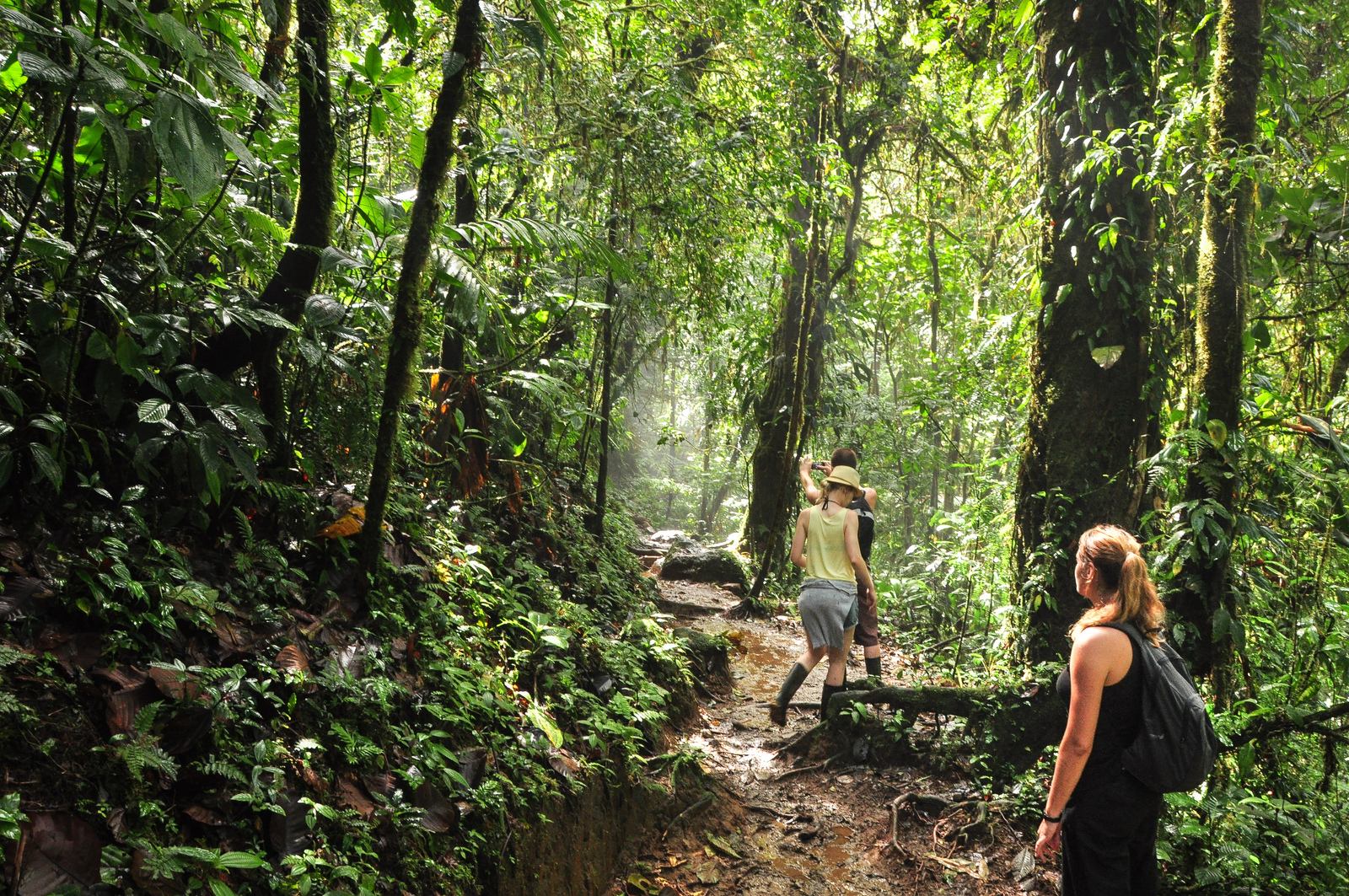 Avec nos potes, dans la jungle
