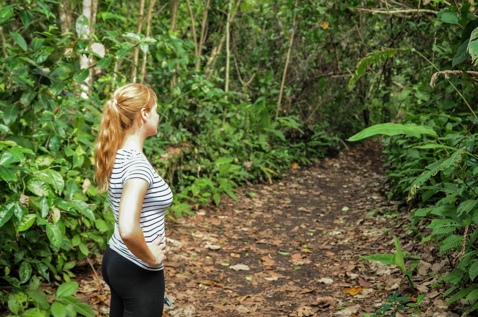 La jungle près du village de Tortuguero