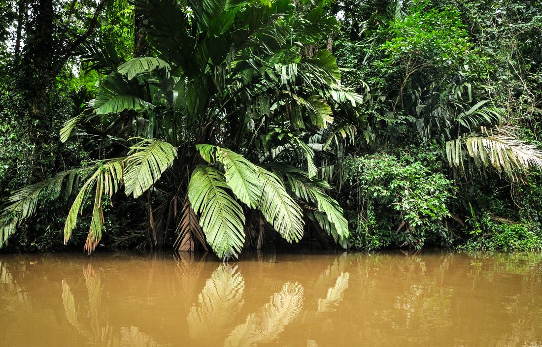 Rivière Tortuguero