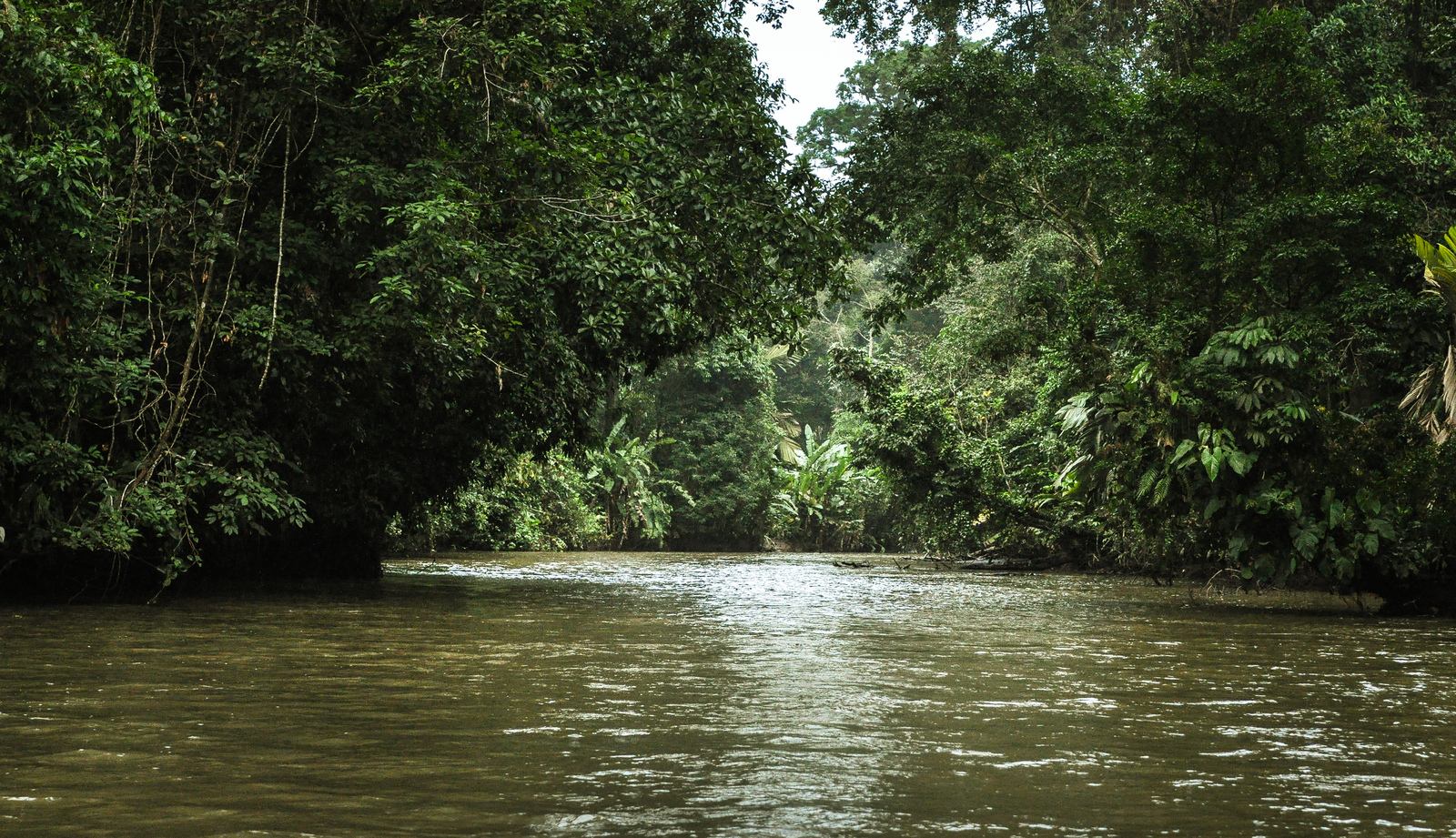 Lagune de Tortuguero