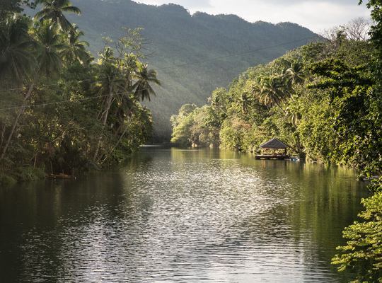 L'île de Bohol aux Philippines : Tarsiers, plages et Chocolate Hills