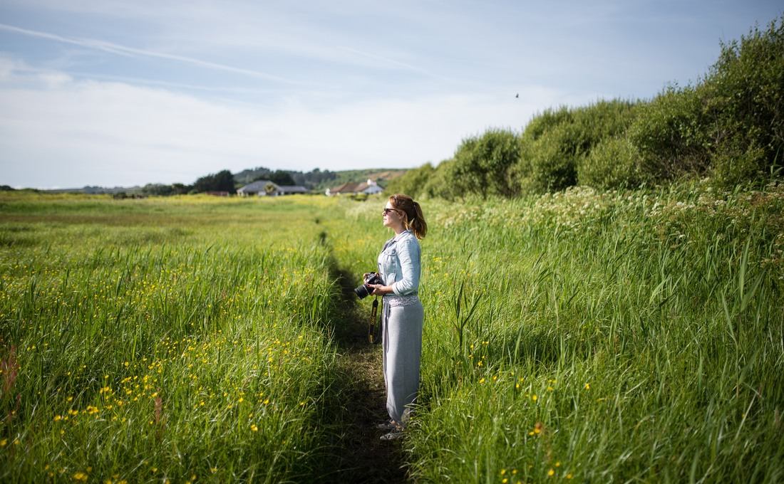 Champs d'orchidées sauvages Jersey