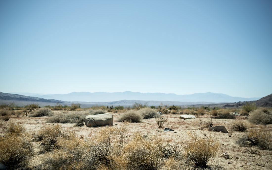 Desert typique du sud de la Californie