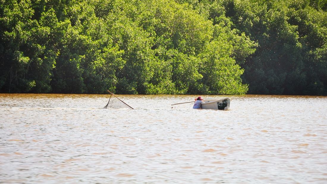 pêcheur de crevettes