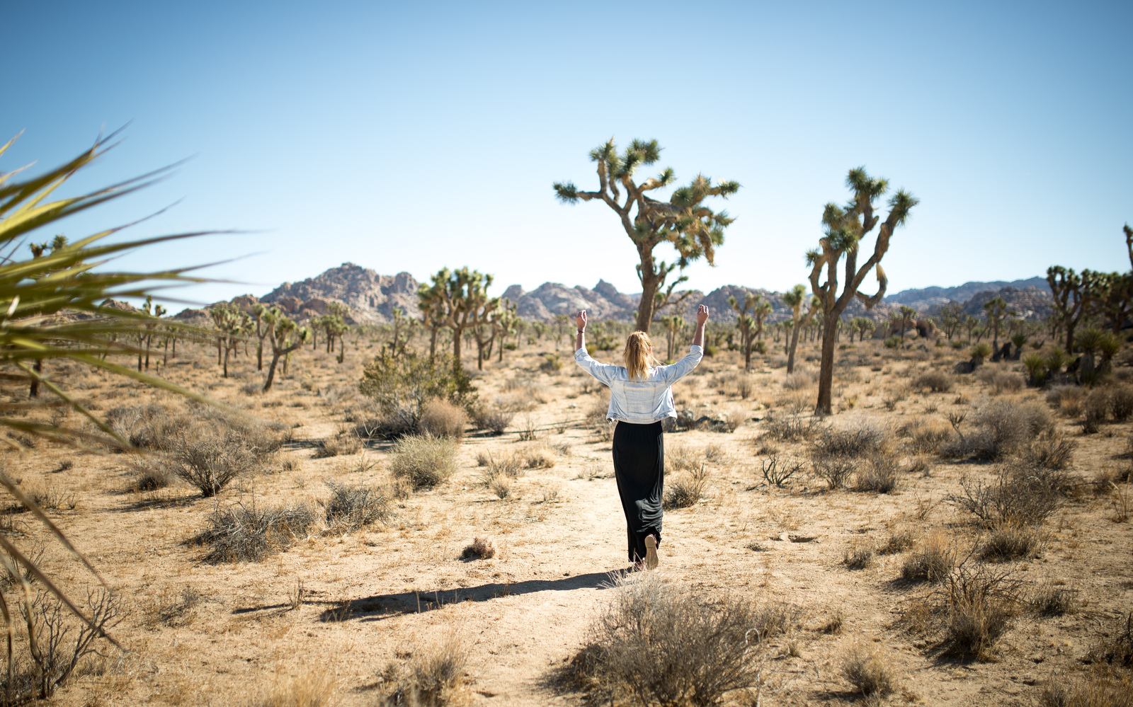 Quail Spring Trail Quail Spring Trail