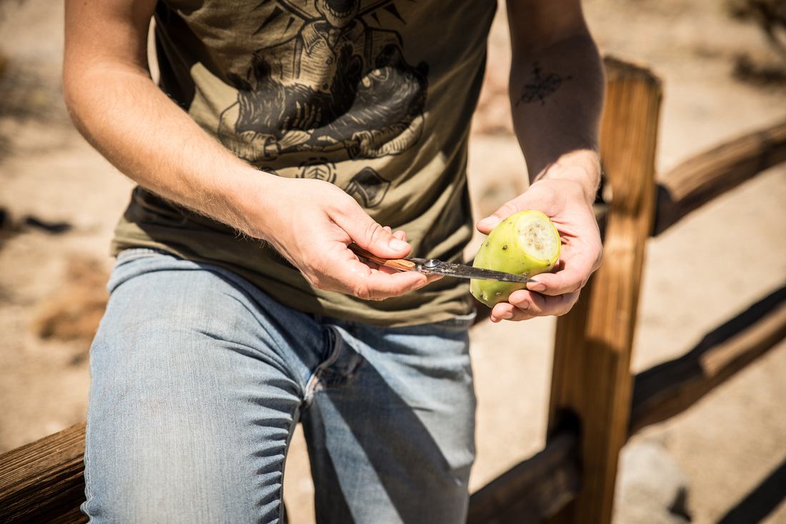 Gouter aux fruits des cactus