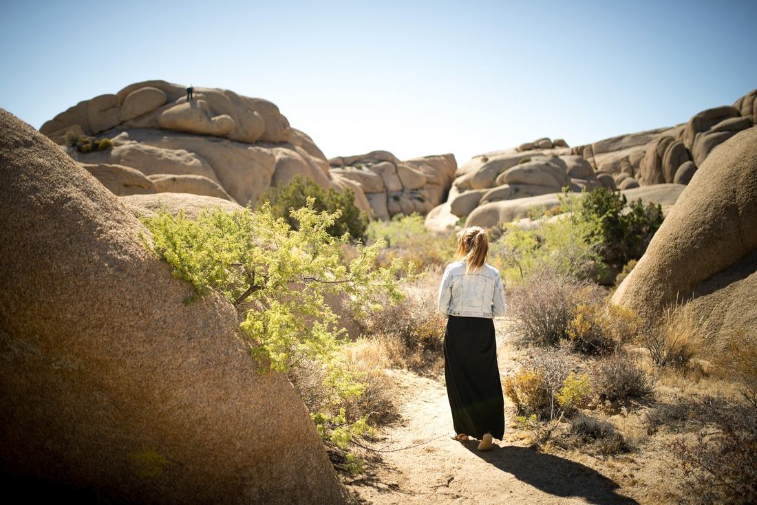 Formations rocheuses typiques de Joshua National Park