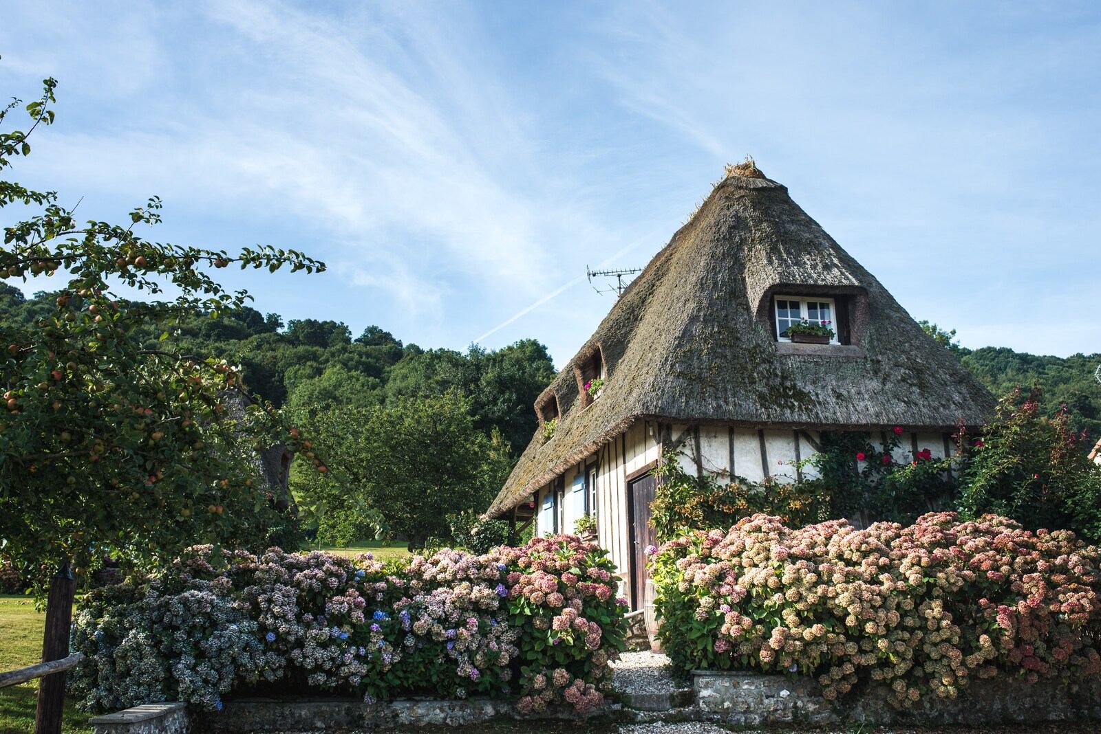 Chaumière aux hortensias