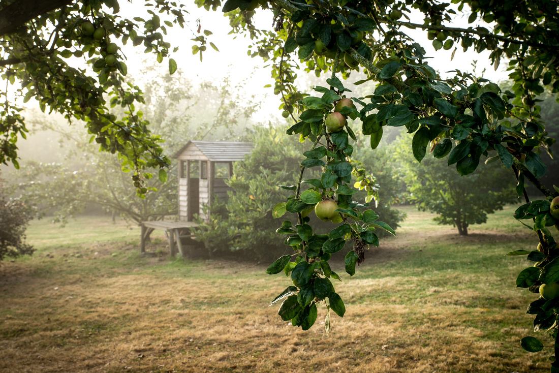 Chambre d'hôte Les Cigognes, Marais Vernier