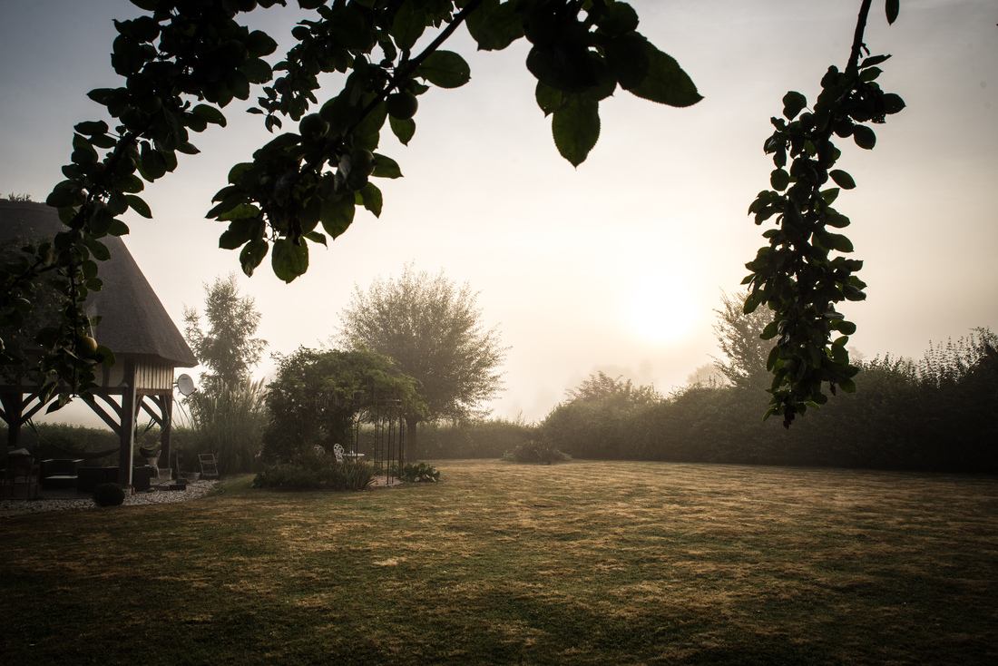 Réveil dans la brume