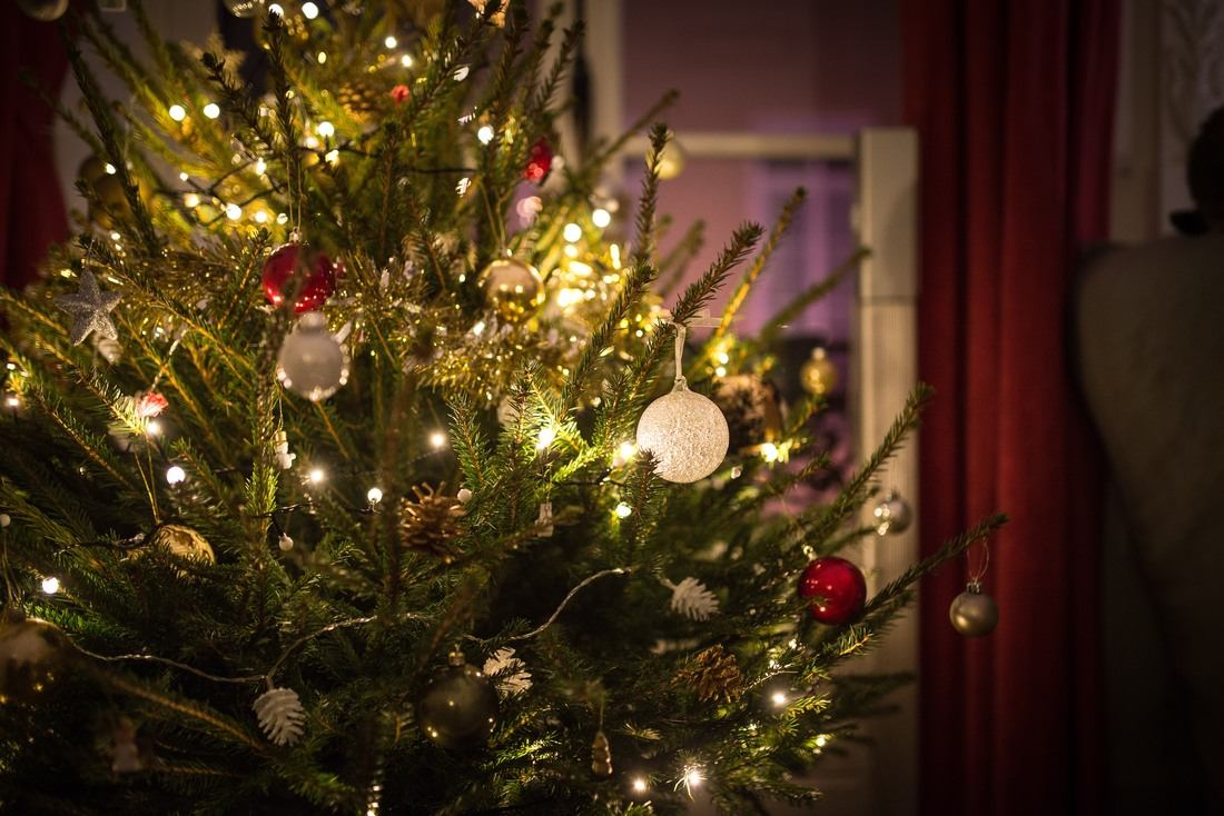 Notre joli sapin de Noel 