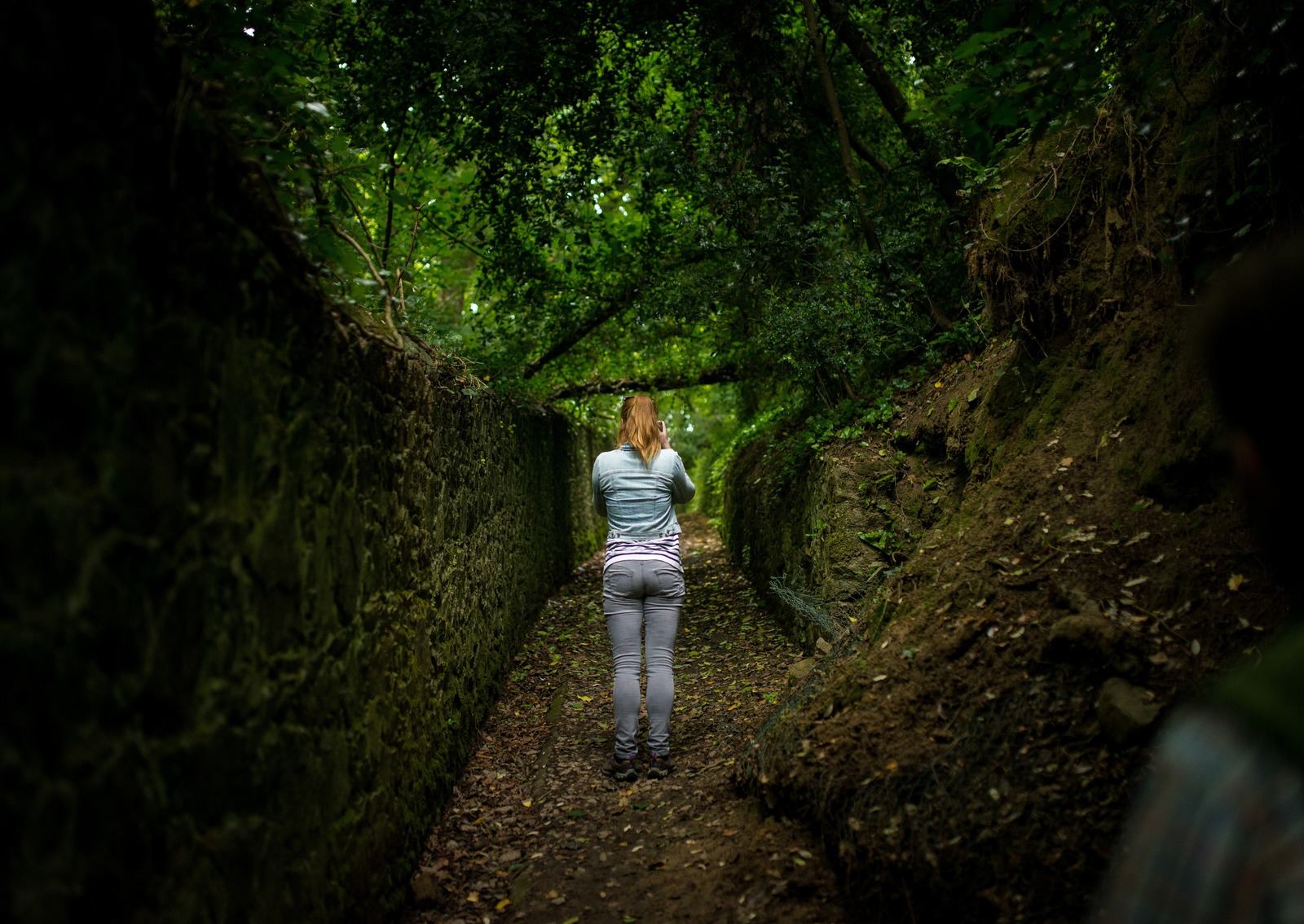 Balade en forêt à Jersey