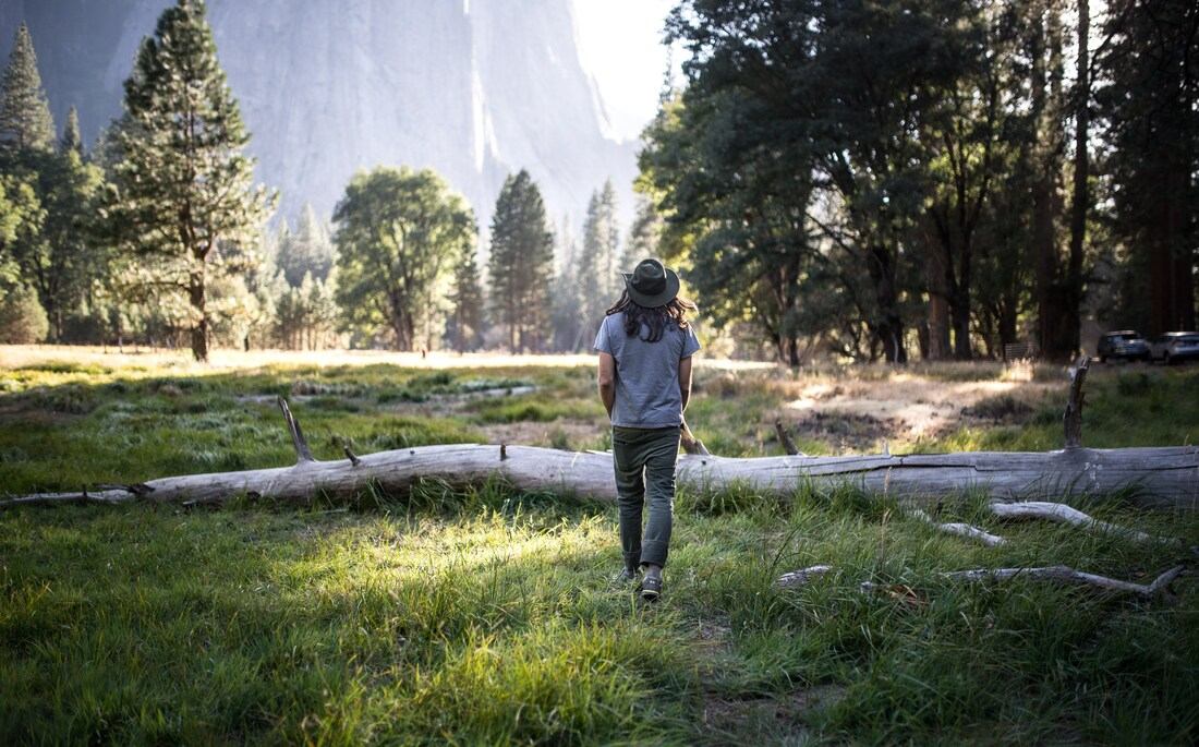 Se balader dans la prairie